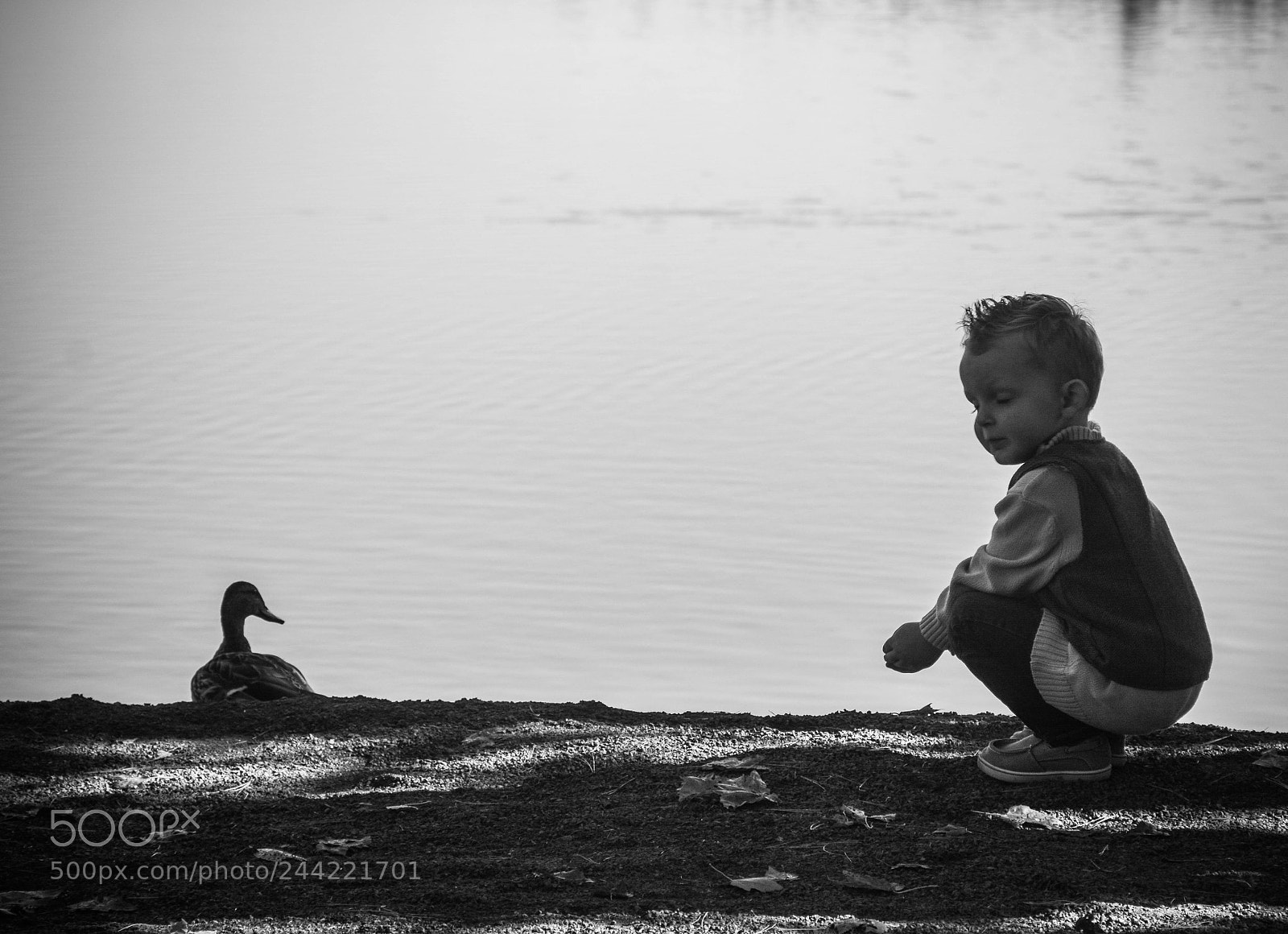 Nikon D7100 sample photo. Duck and me photography