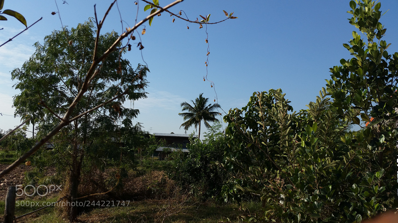 Samsung Galaxy S5 sample photo. 20160127_083650.jpg photography