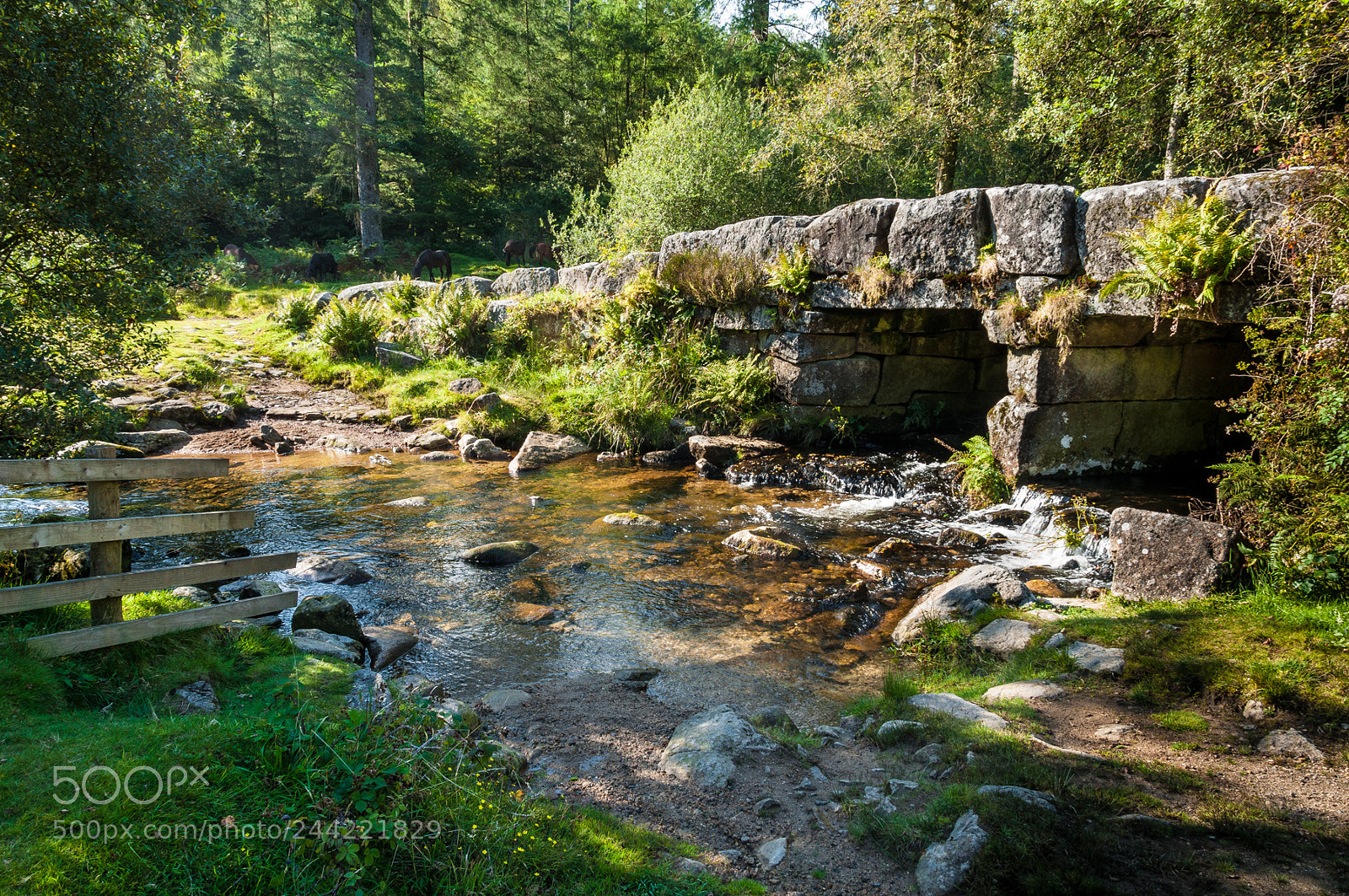 Nikon D5000 sample photo. Leather tor bridge on photography