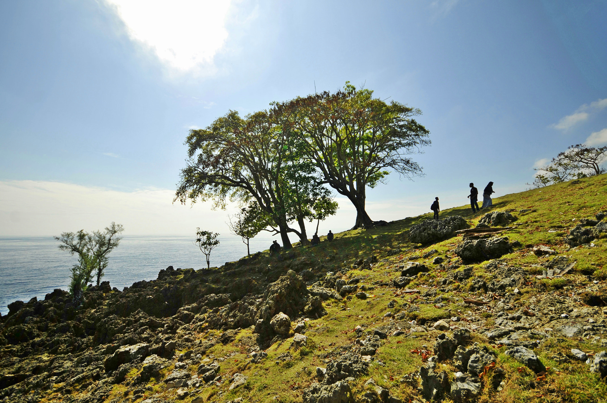 Nikon D300 + Sigma 10-20mm F4-5.6 EX DC HSM sample photo. One touch of nature.... photography