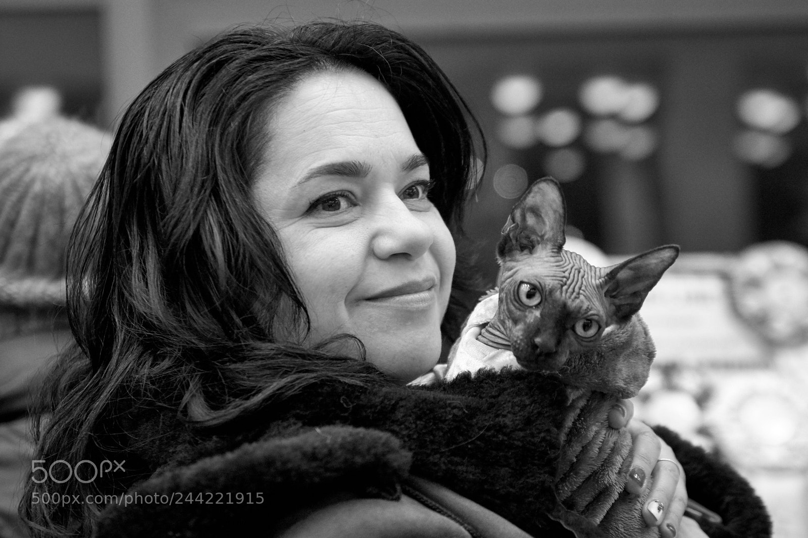 Nikon D7100 sample photo. Portrait with cat photography