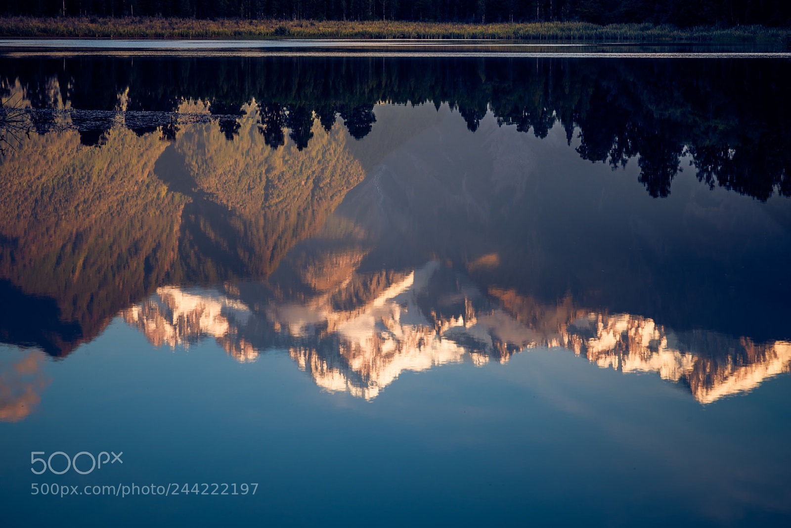 Pentax K-1 sample photo. Upside down photography