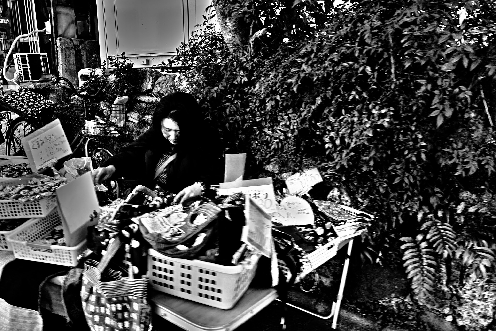 Sigma DP1 Merrill sample photo. La campanella photography