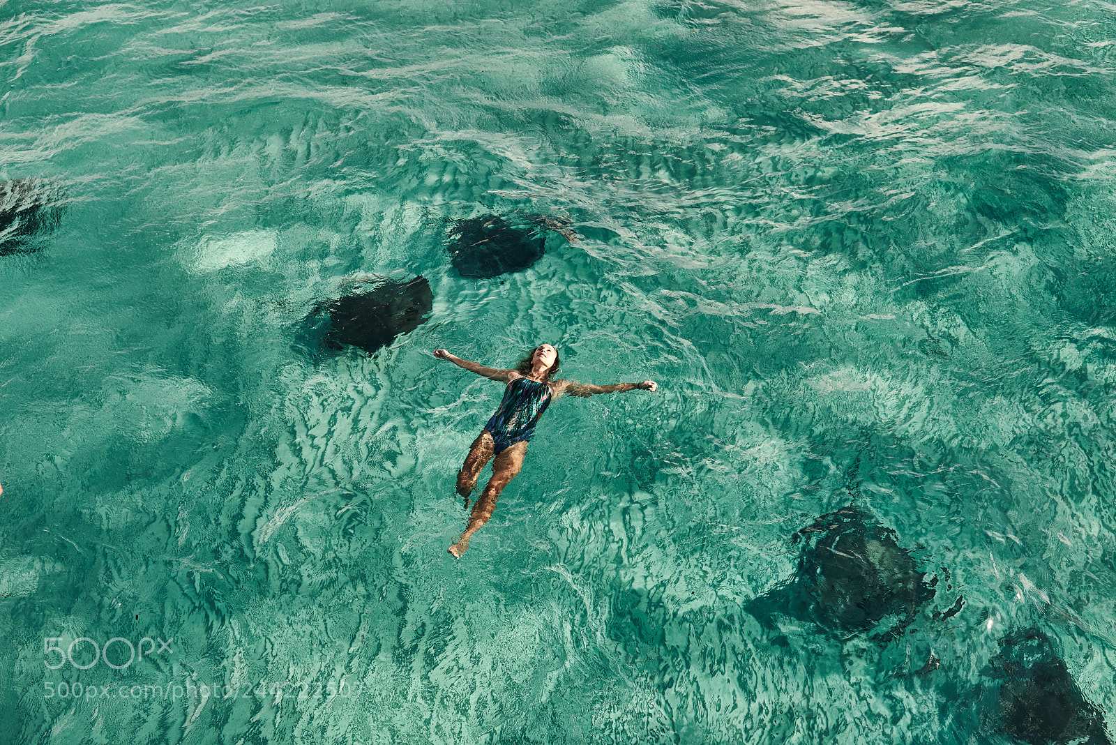 Nikon D600 sample photo. Swimming with stingrays in photography