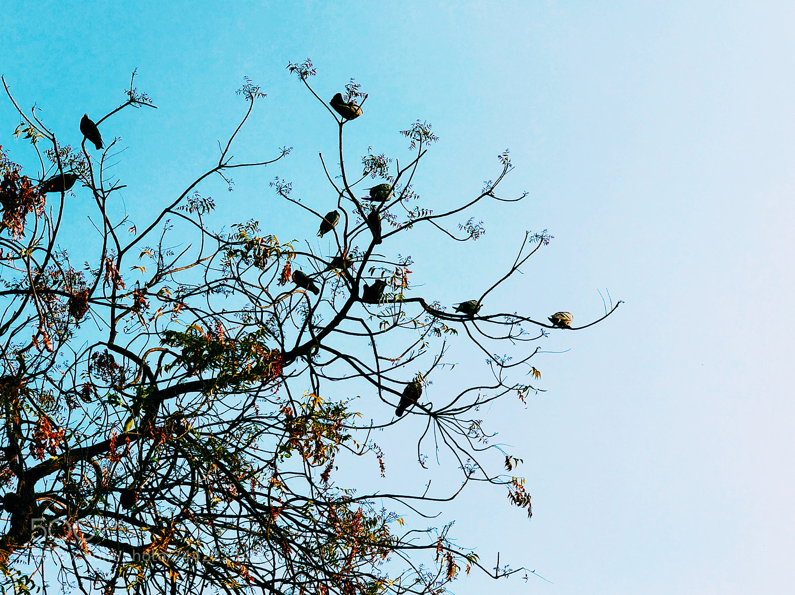 OnePlus 5 sample photo. Chilling on a tree. photography