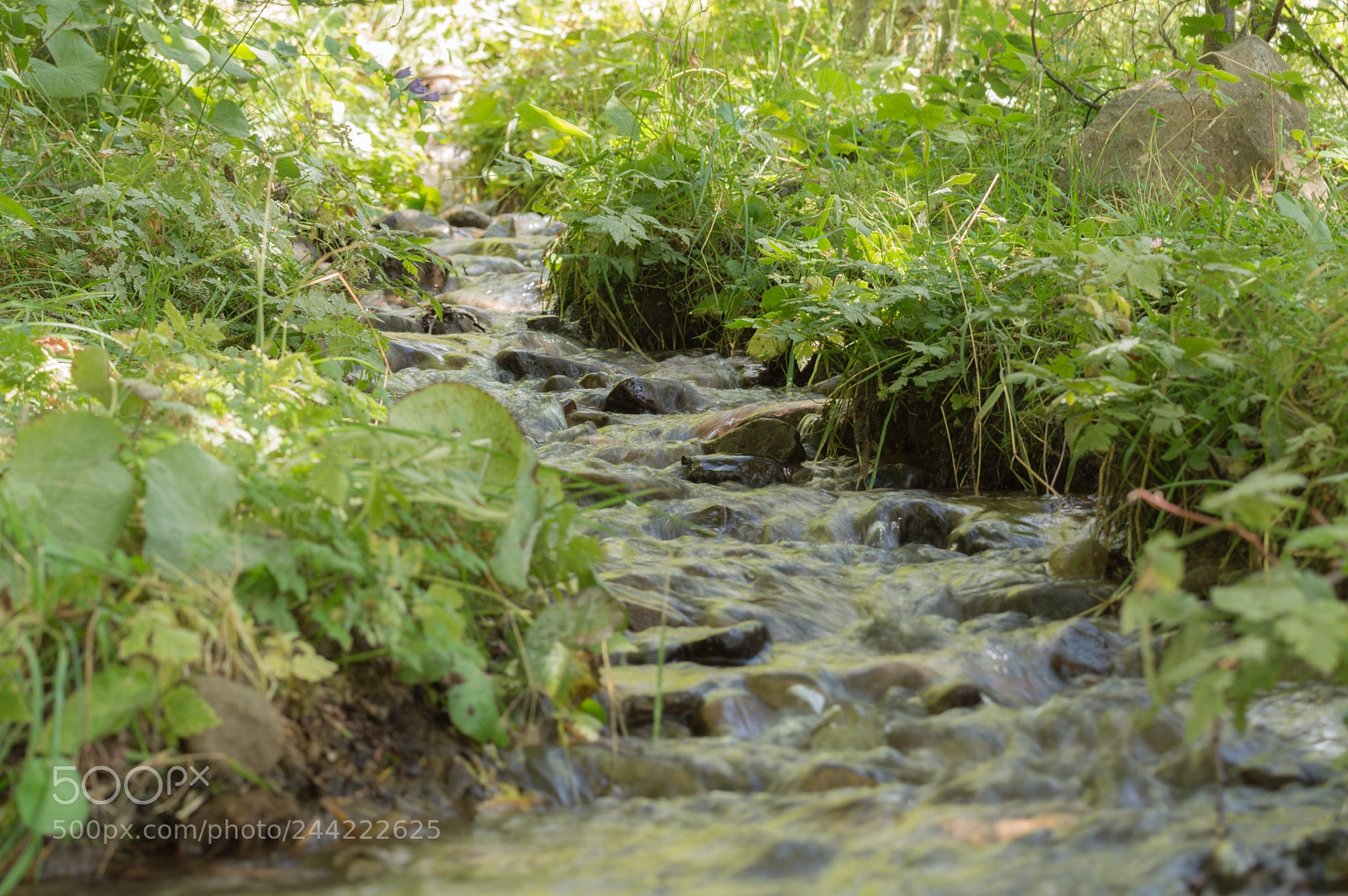 Nikon D3200 sample photo. Ruscello sentiero fontanone photography