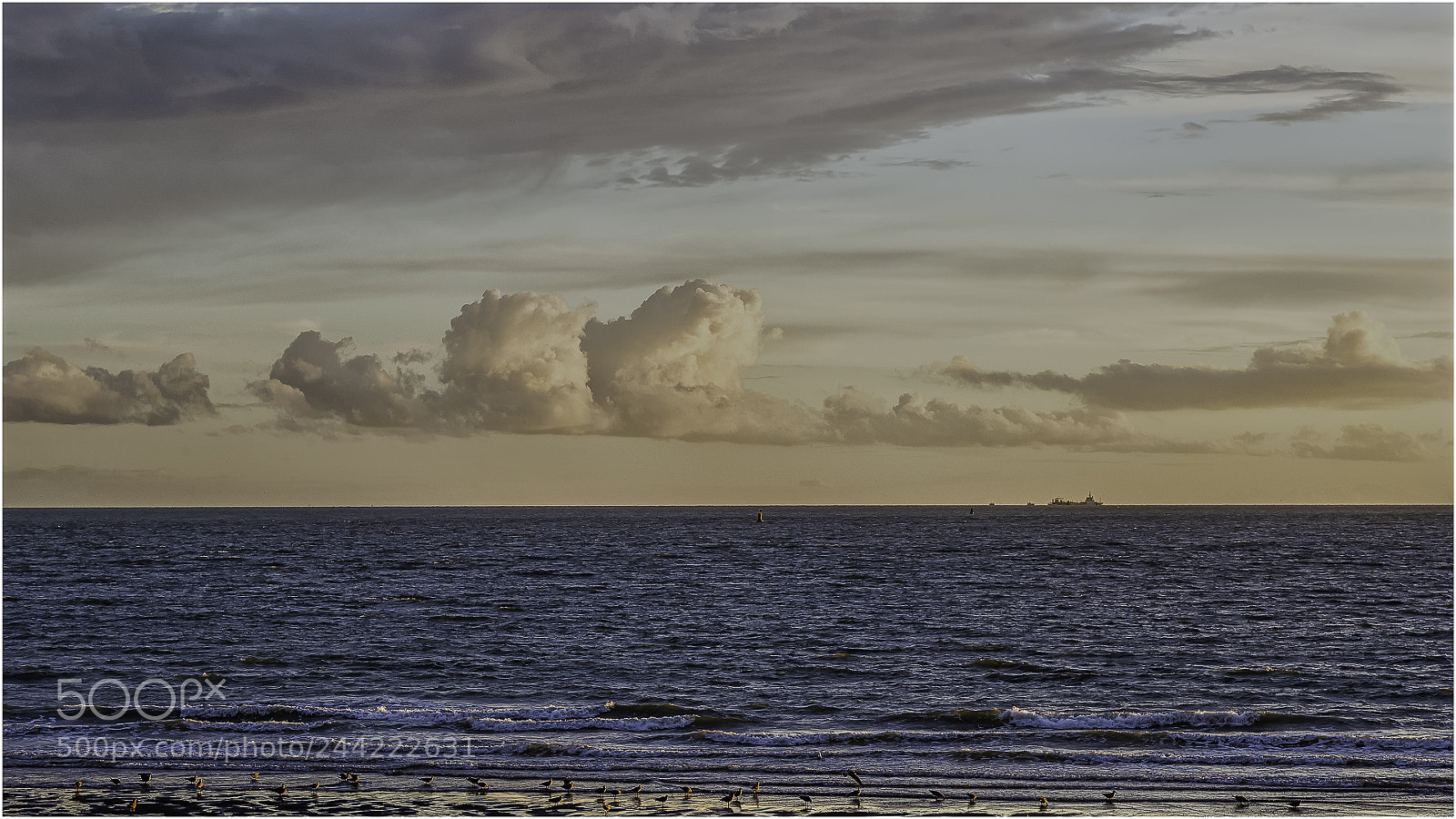 Nikon D610 sample photo. Ciel du havre_17 photography