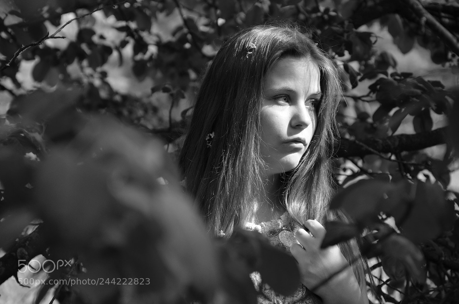 Nikon D5100 sample photo. Black-white photography