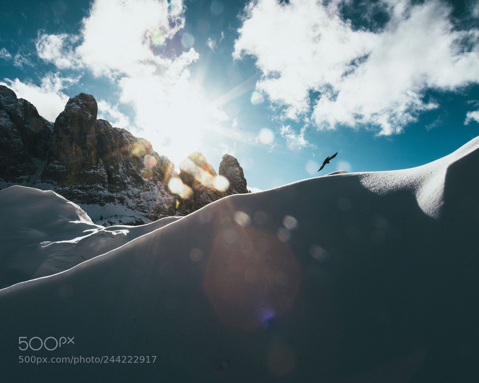 Sony a7R II sample photo. Fly high photography