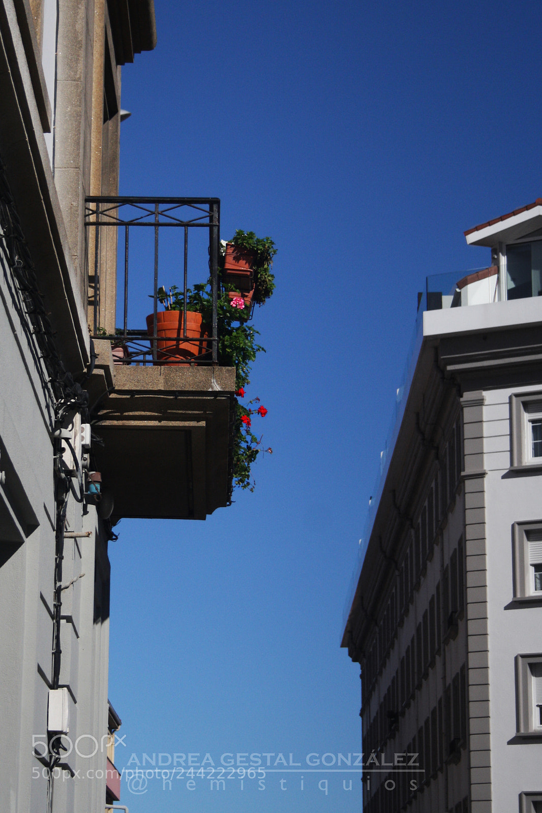 Canon EOS 1000D (EOS Digital Rebel XS / EOS Kiss F) sample photo. Balc ns cheos de photography