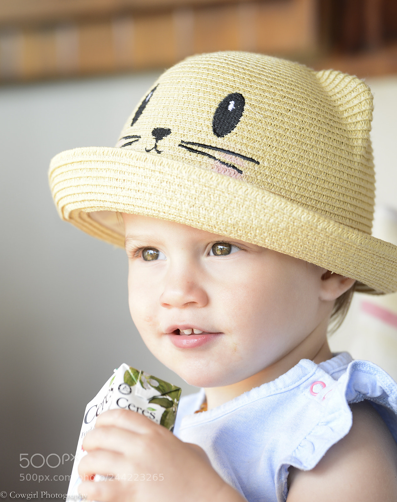 Nikon D800E sample photo. Hat photography