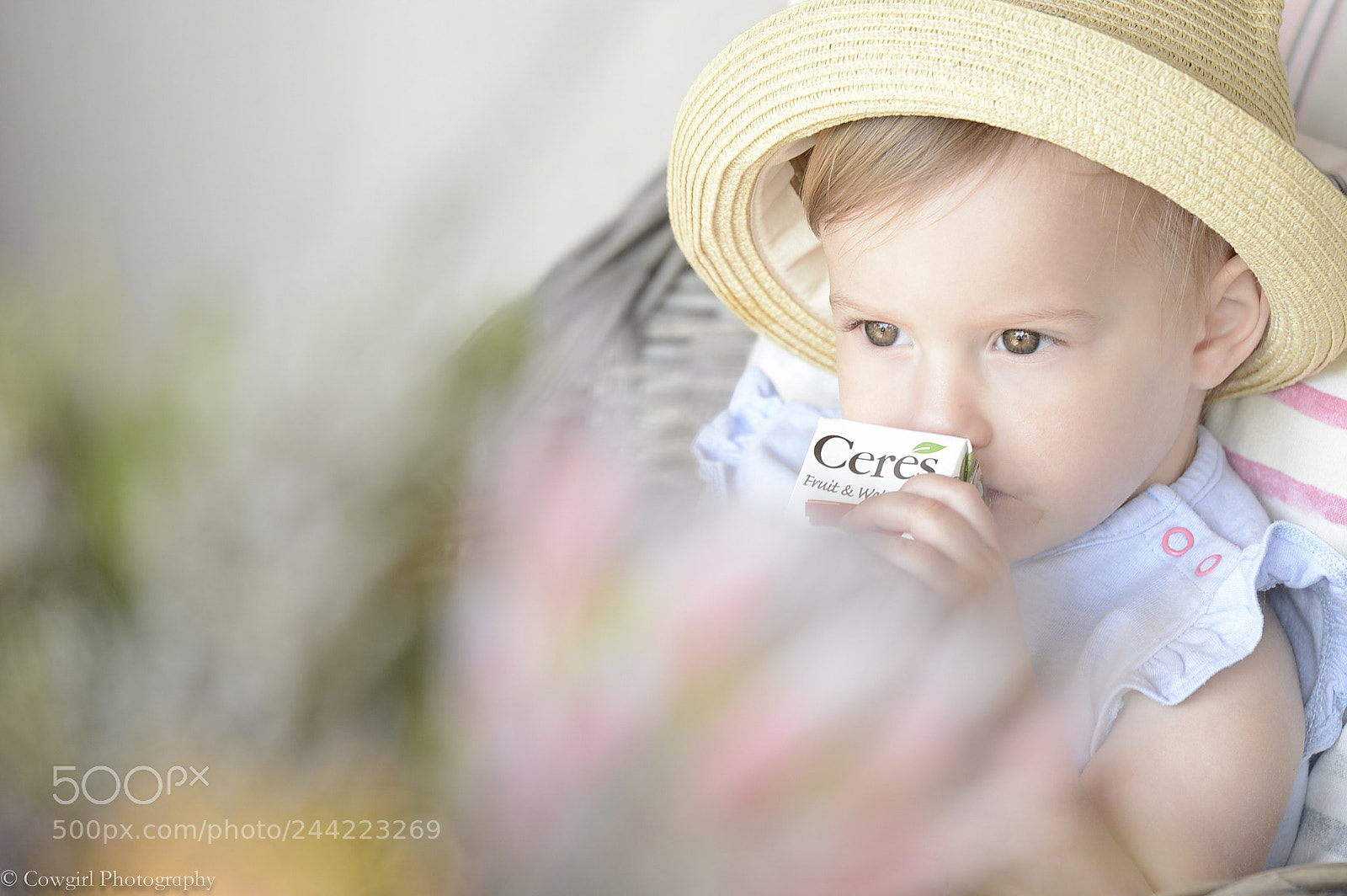 Nikon D800E sample photo. Thirsty photography