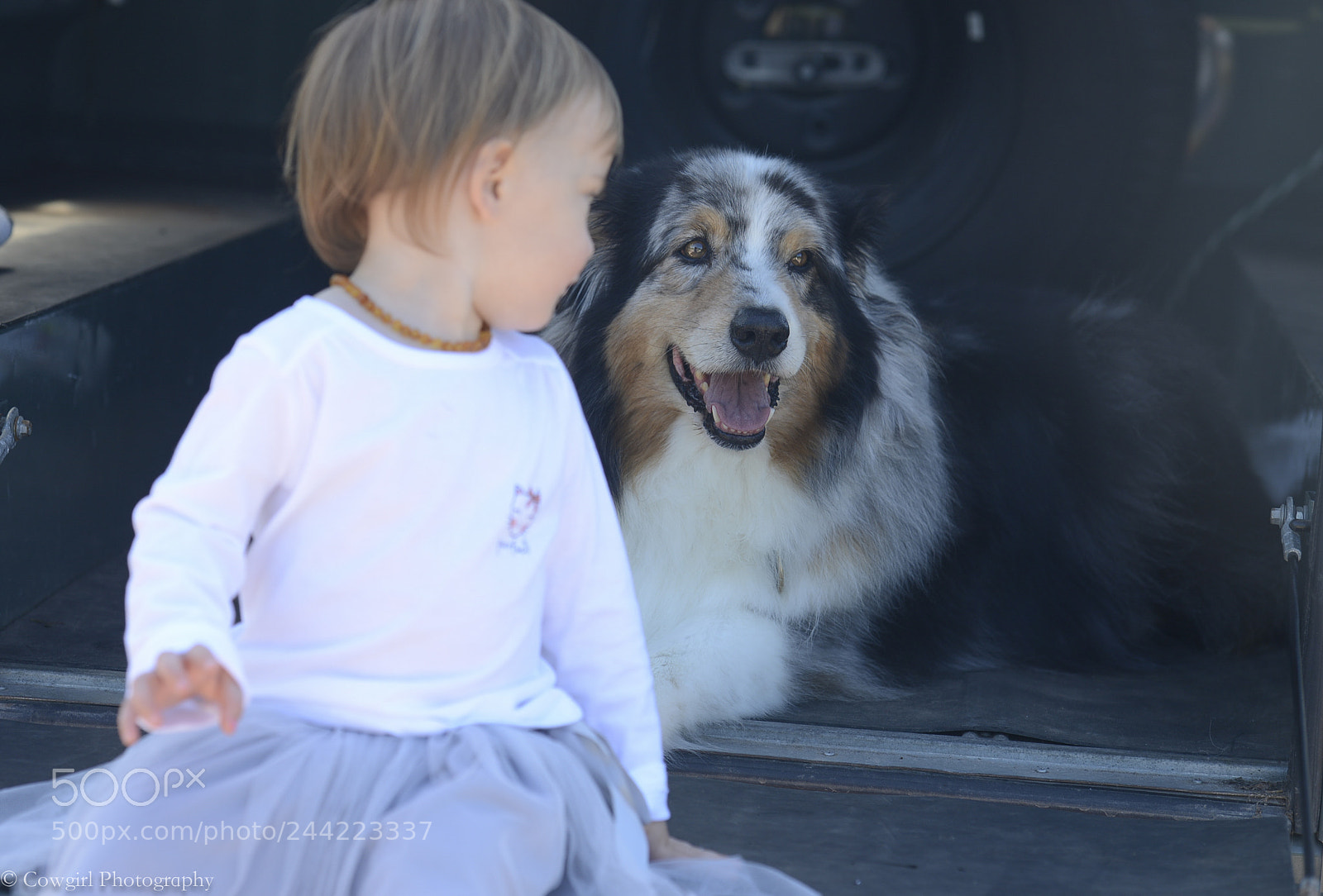 Nikon D800E sample photo. Sophia and smokey photography