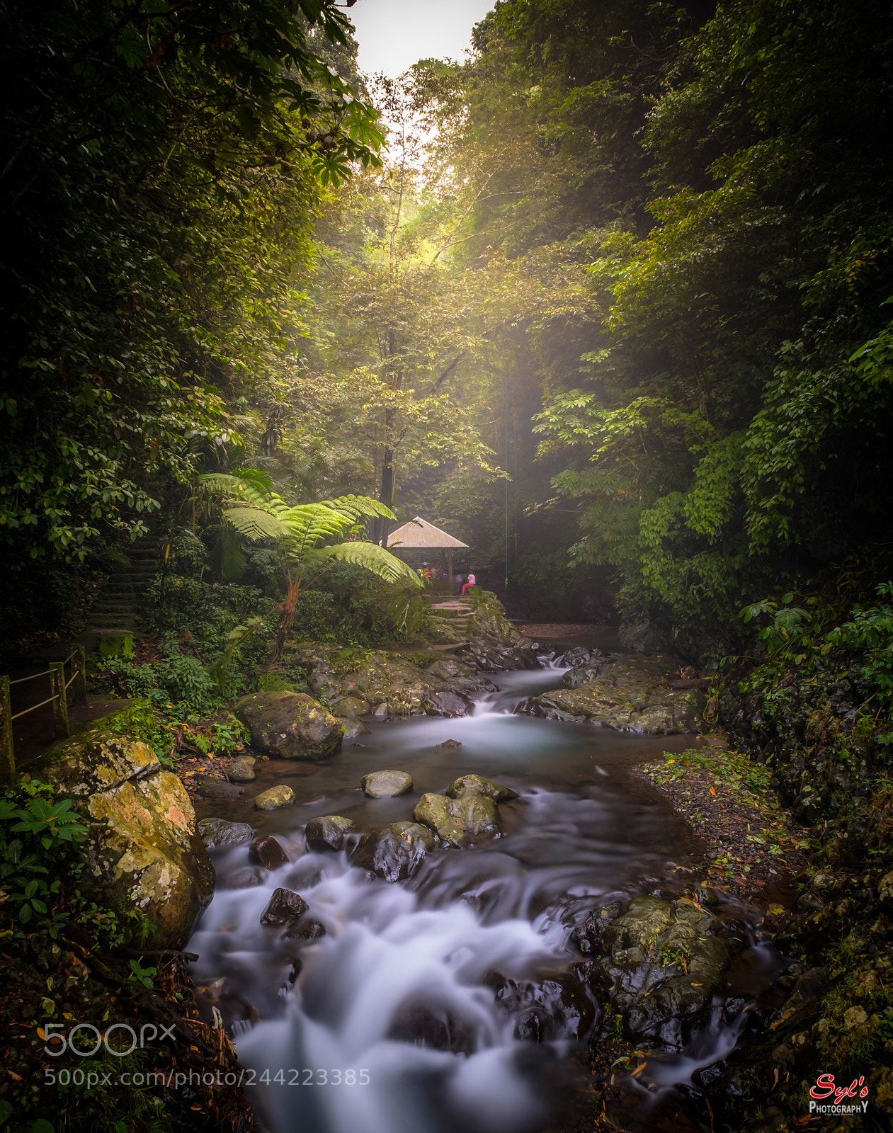 Fujifilm X-T2 sample photo. "paradise in the forest" photography