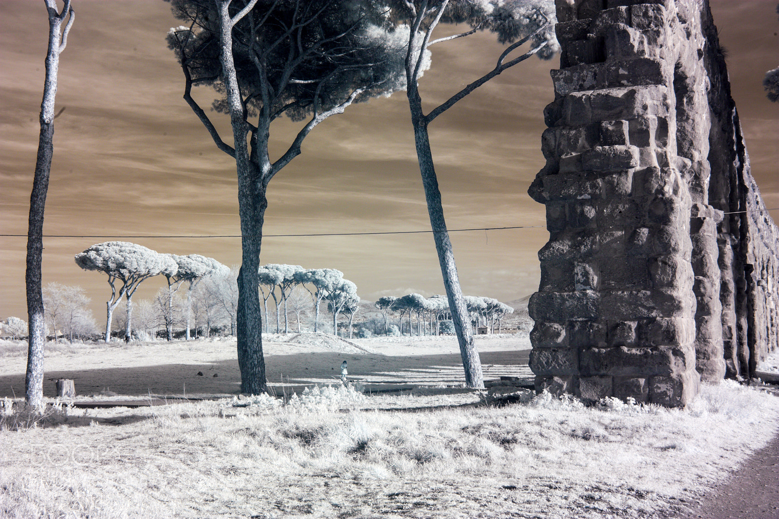 Canon EOS 450D (EOS Rebel XSi / EOS Kiss X2) sample photo. Infrared vision photography