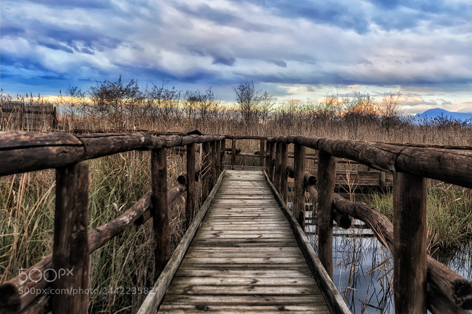 Nikon D500 sample photo. Sunset on the lake photography