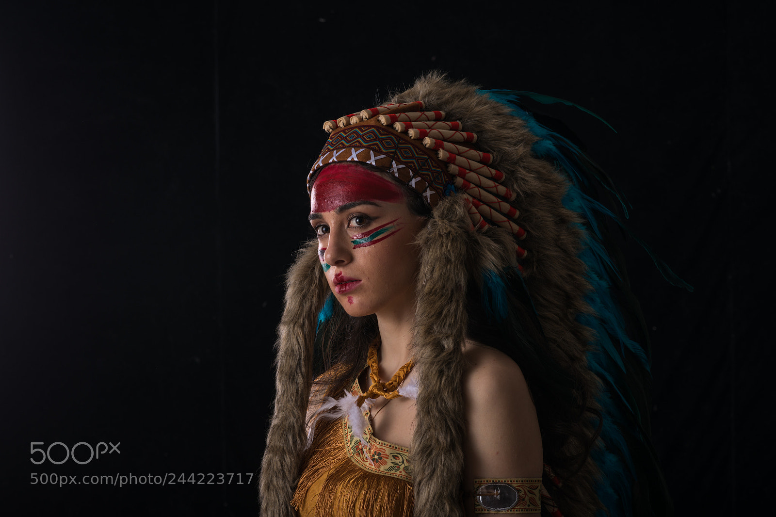 Nikon D800E sample photo. The head ornaments of photography