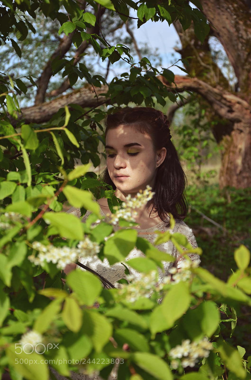 Nikon D5100 sample photo. Spring photography