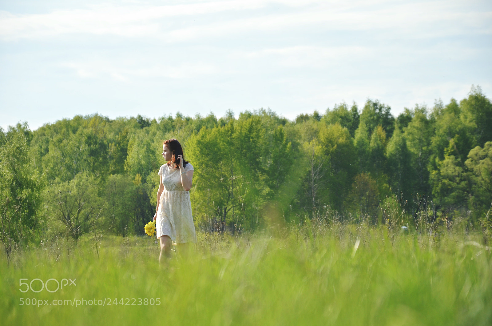 Nikon D5100 sample photo. Spring photography