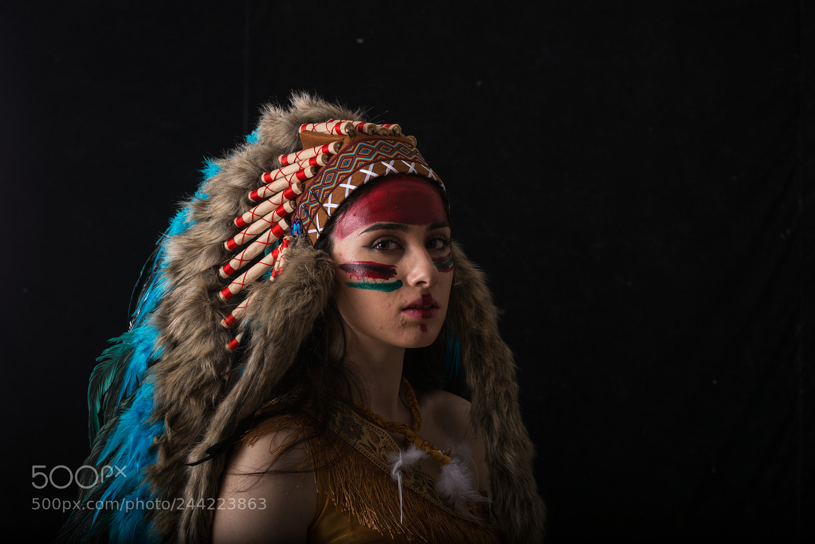 Nikon D800E sample photo. The head ornaments of photography