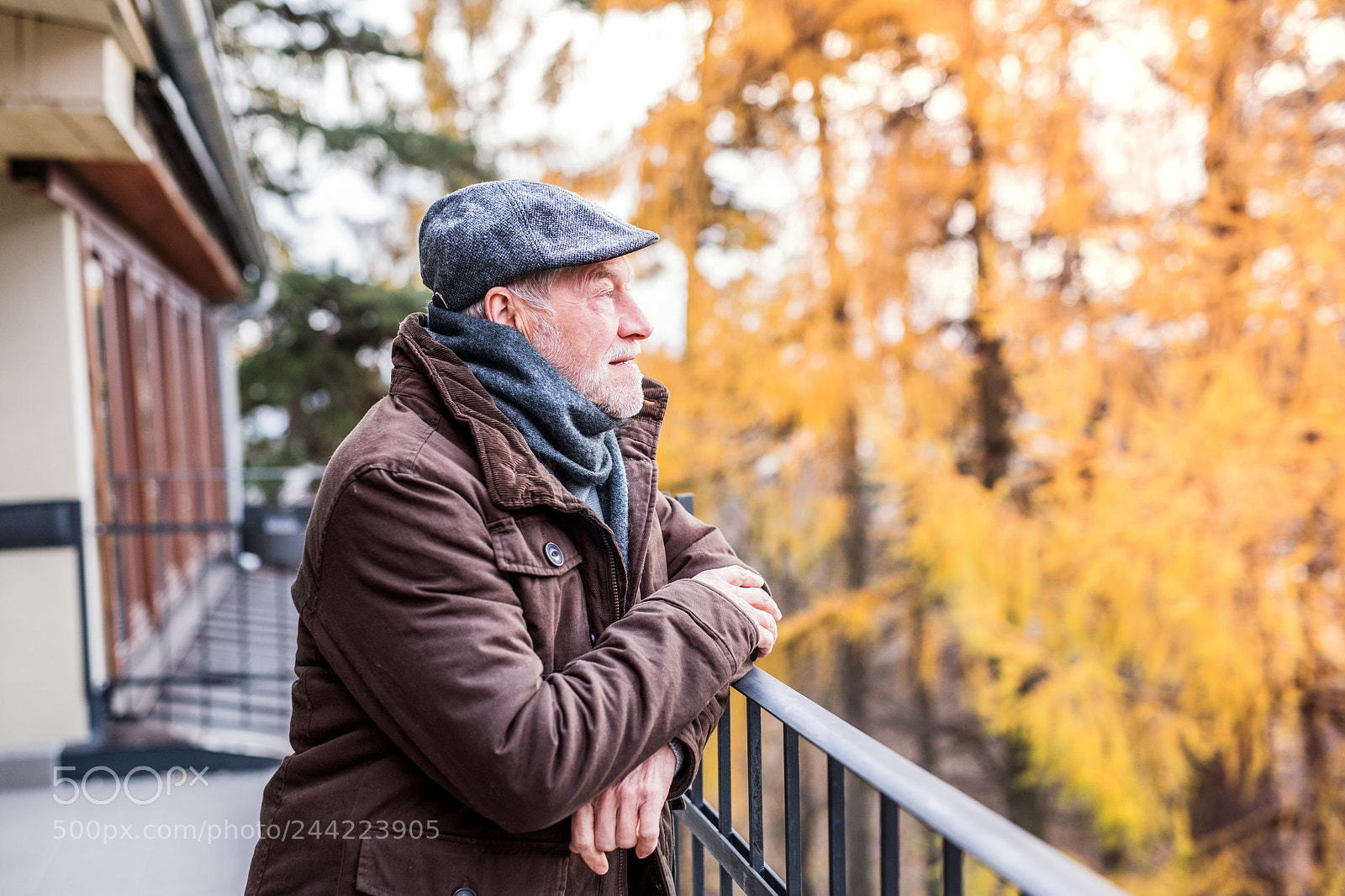 Nikon D5 sample photo. Senior man on a photography