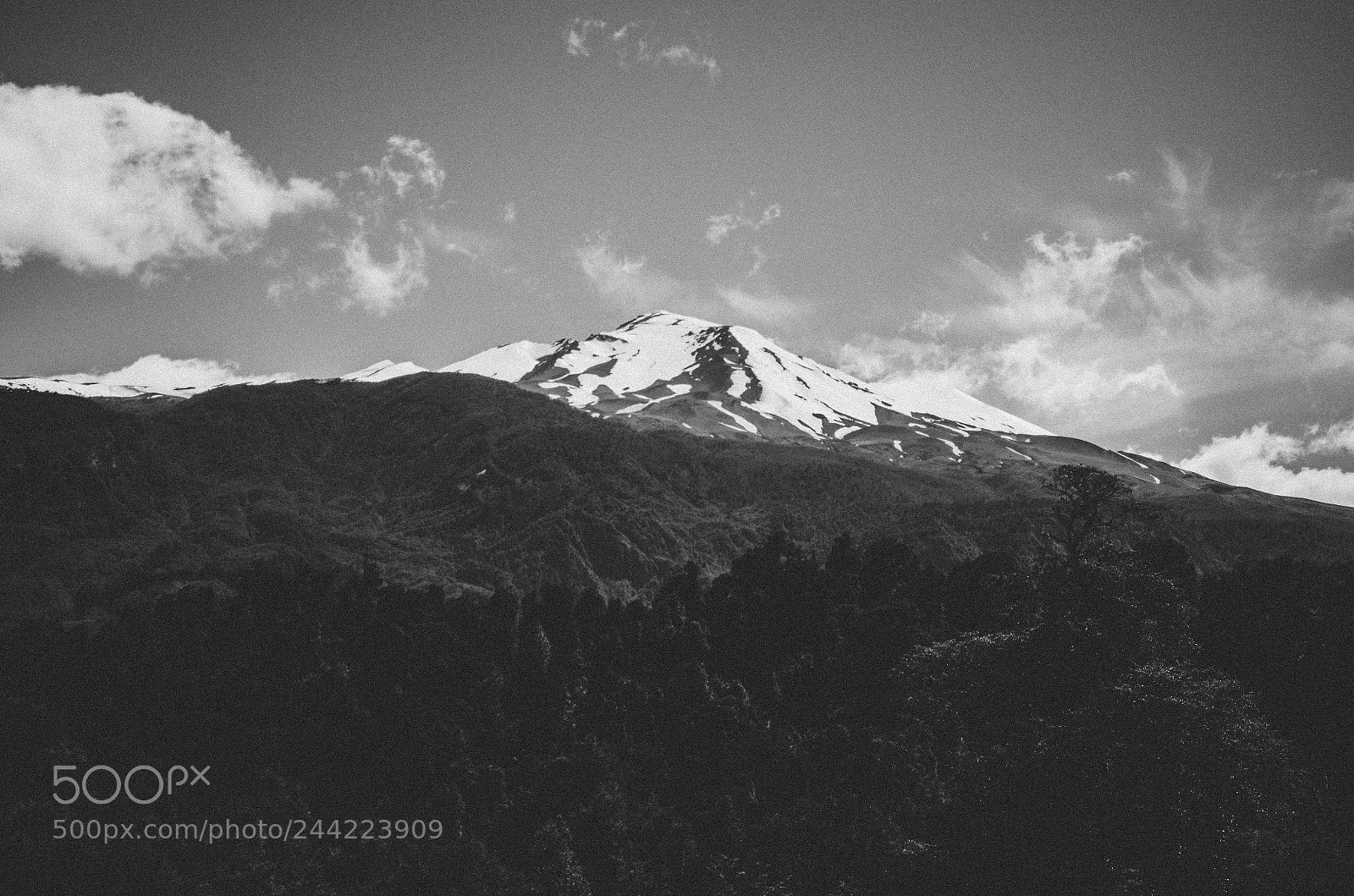 Nikon D5100 sample photo. Puyehue photography