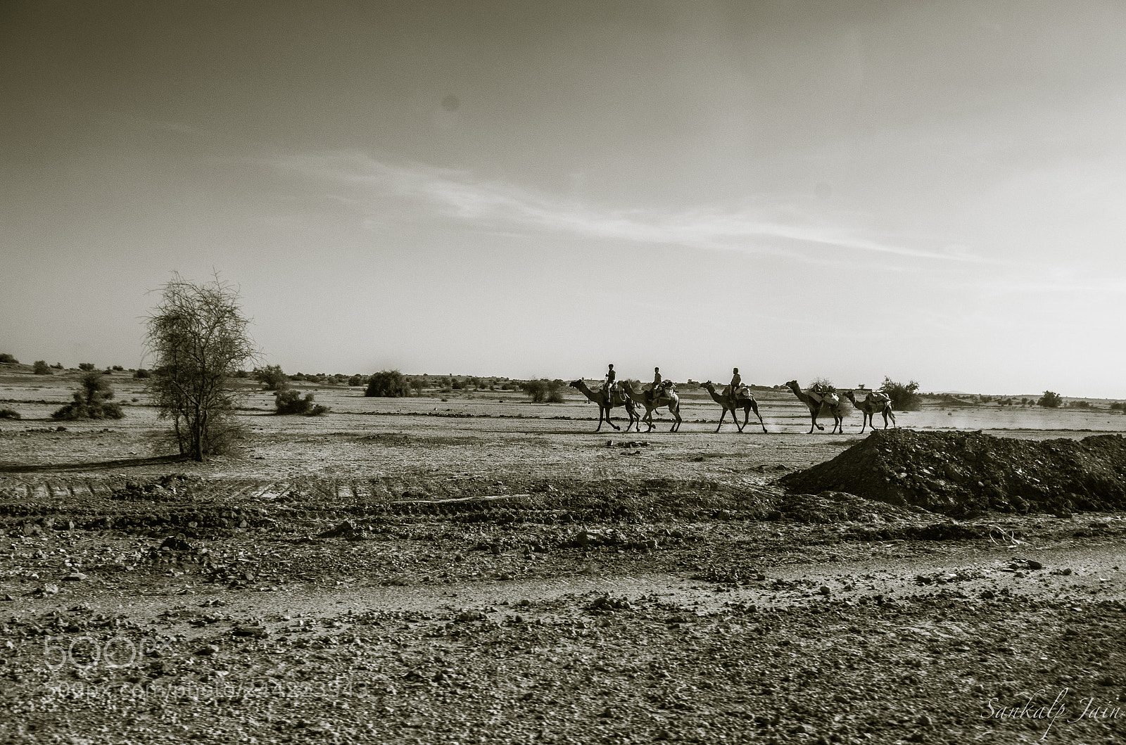 Nikon D5100 sample photo. Gypsy life photography