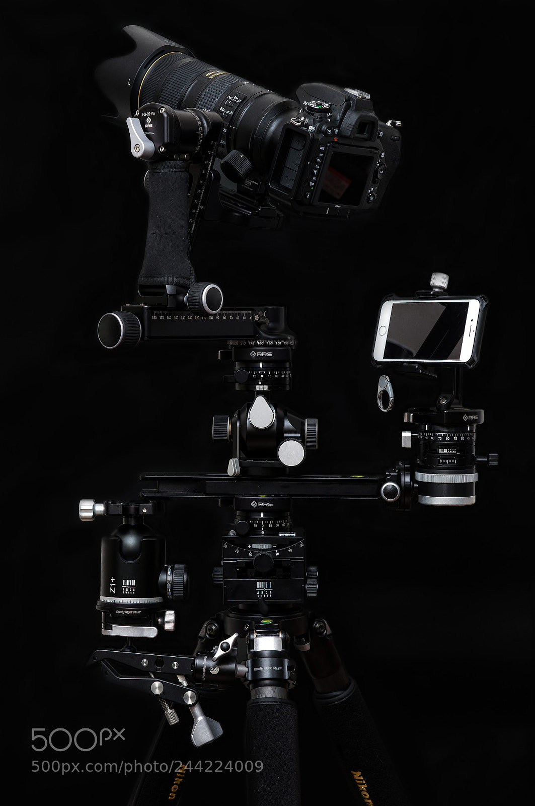 Nikon D610 sample photo. Today's tripod portrait photography