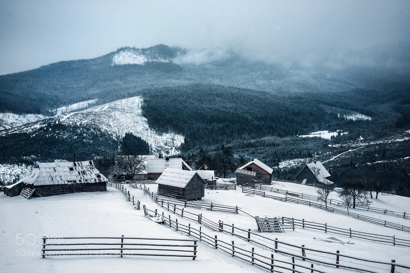 Nikon D800 sample photo. Winter in remote village photography