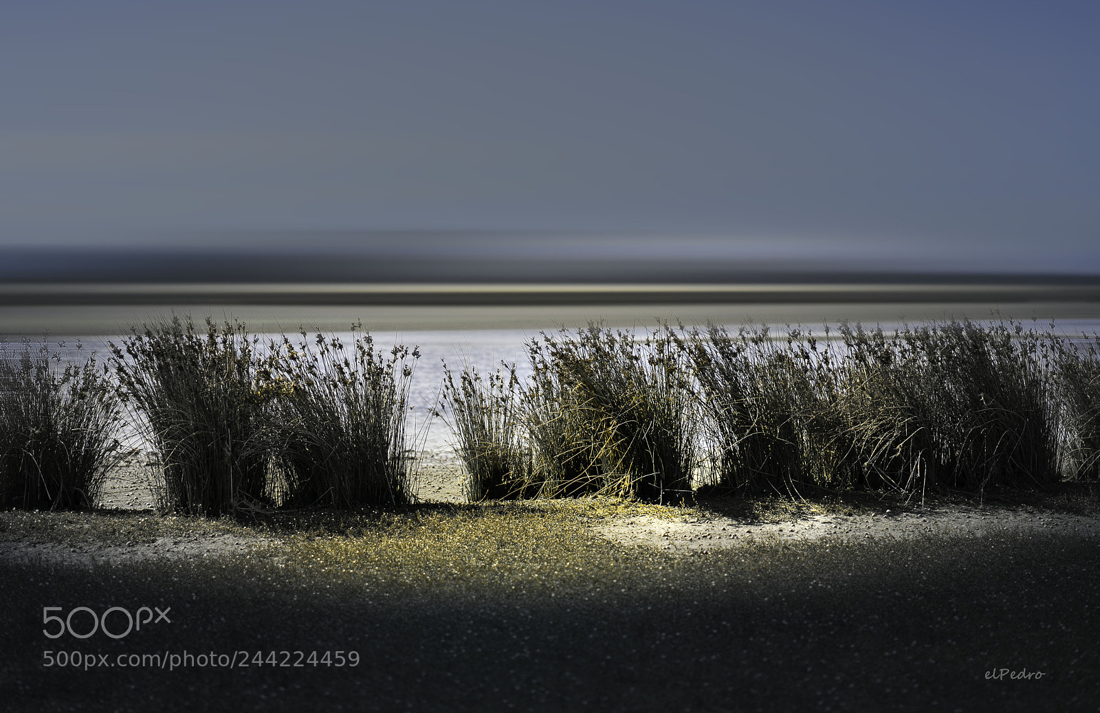 Sony a7R II sample photo. Ashley river mouth photography