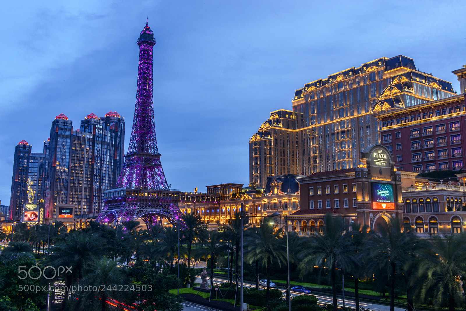Nikon D800 sample photo. Parisian macao photography