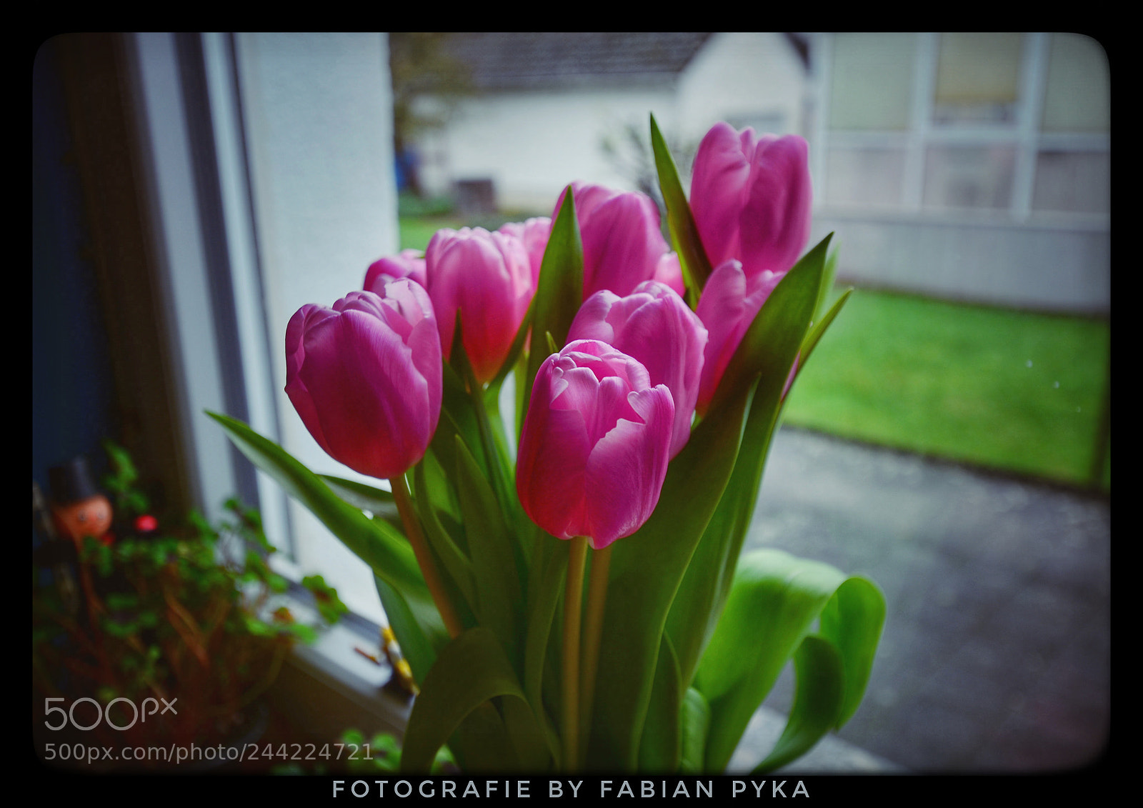 Nikon D5100 sample photo. Untitled photography