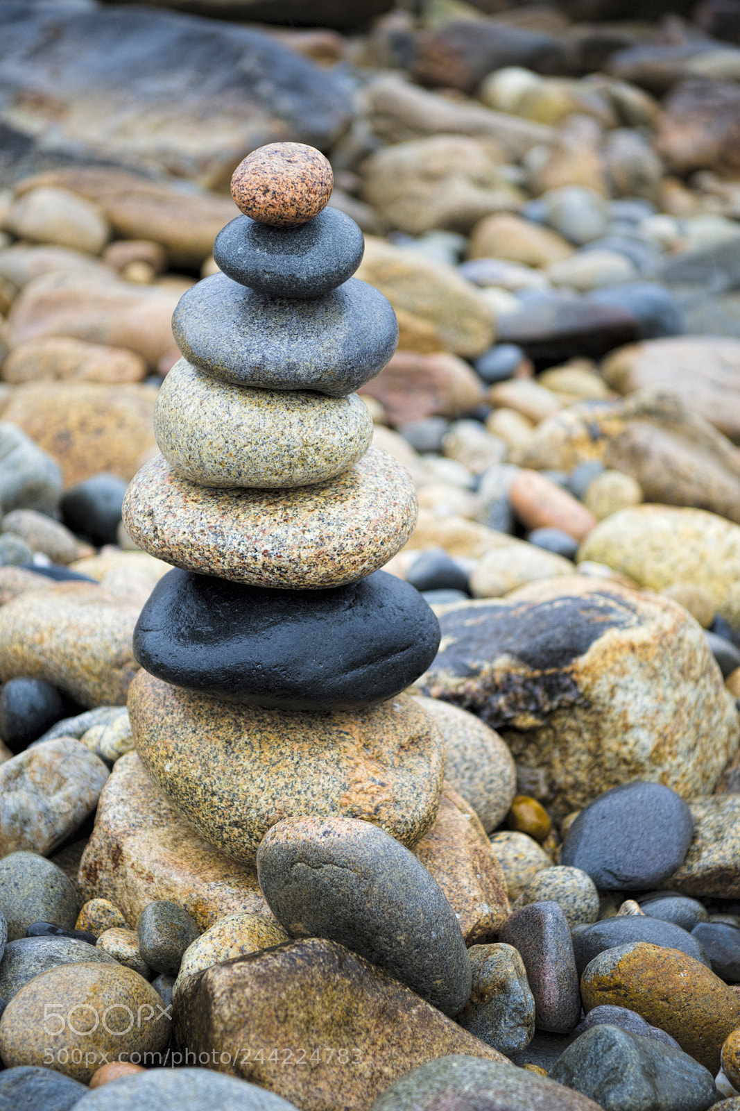 Nikon D810 sample photo. Balanced photography