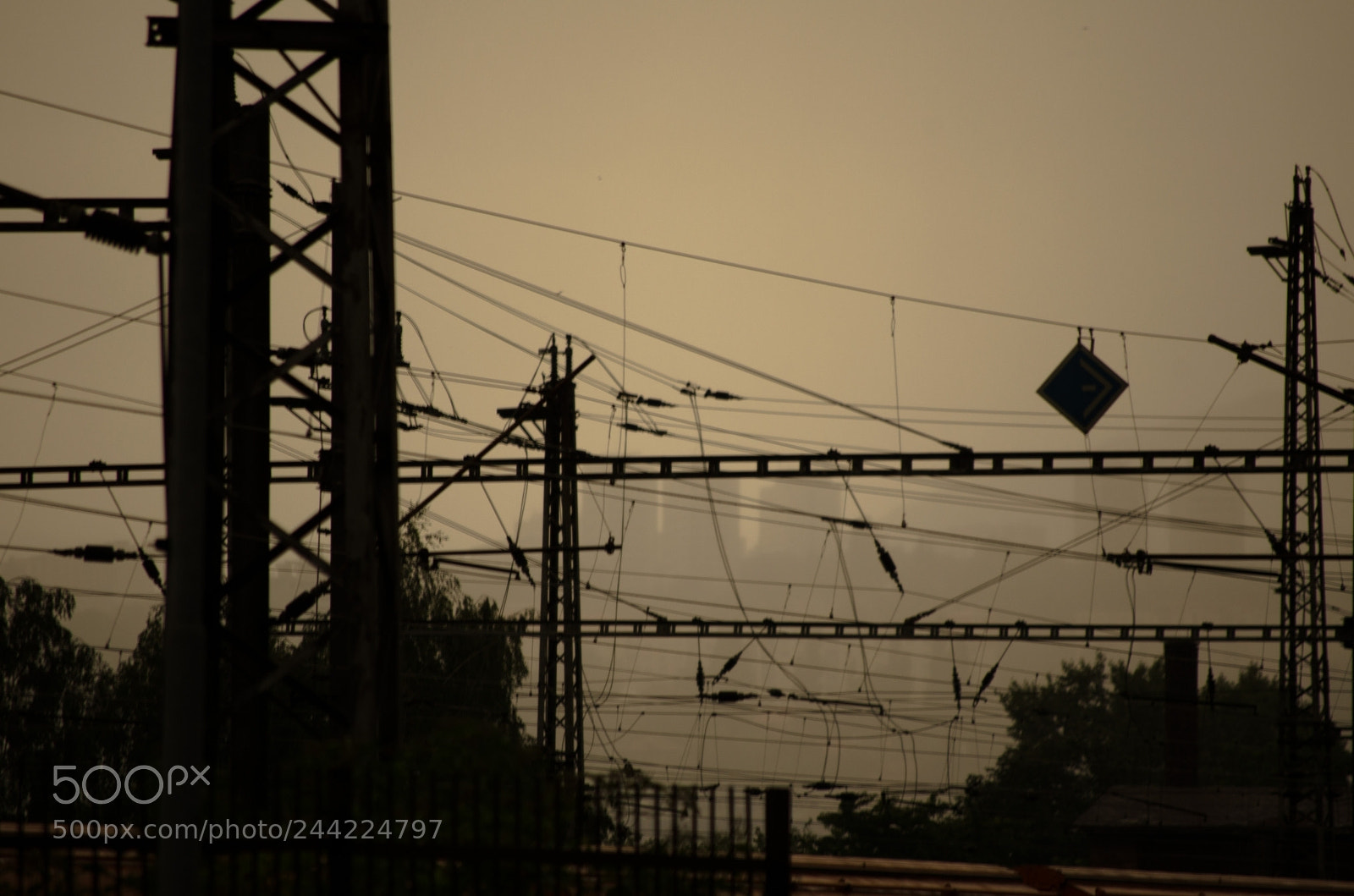 Nikon D5100 sample photo. Untitled photography