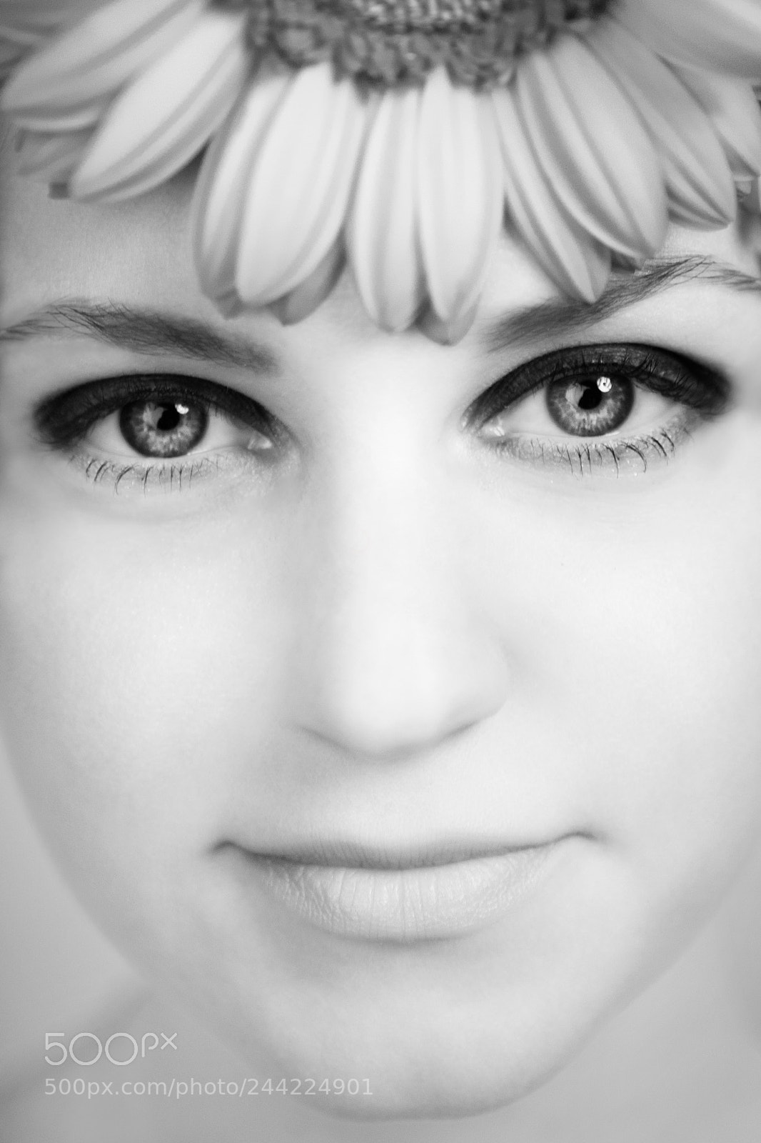Canon EOS 5D sample photo. A. photography