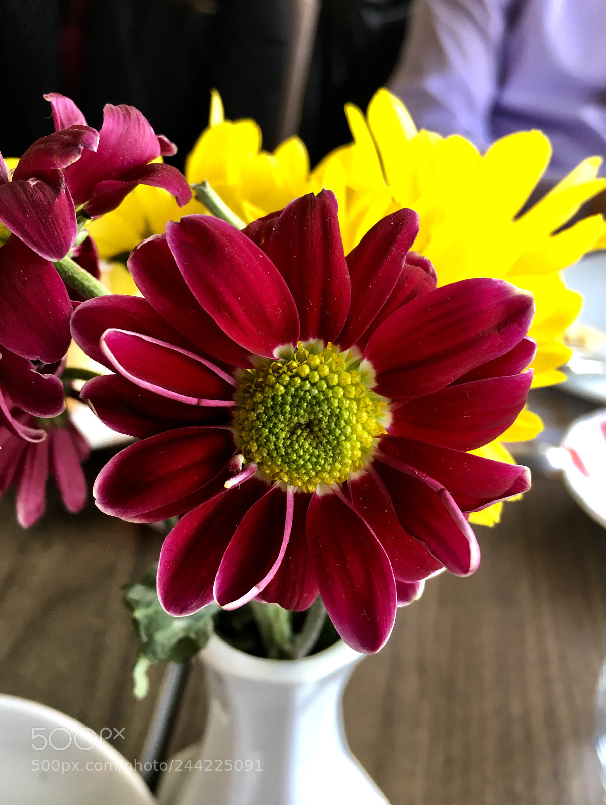 Apple iPhone 6s sample photo. Untitled photography