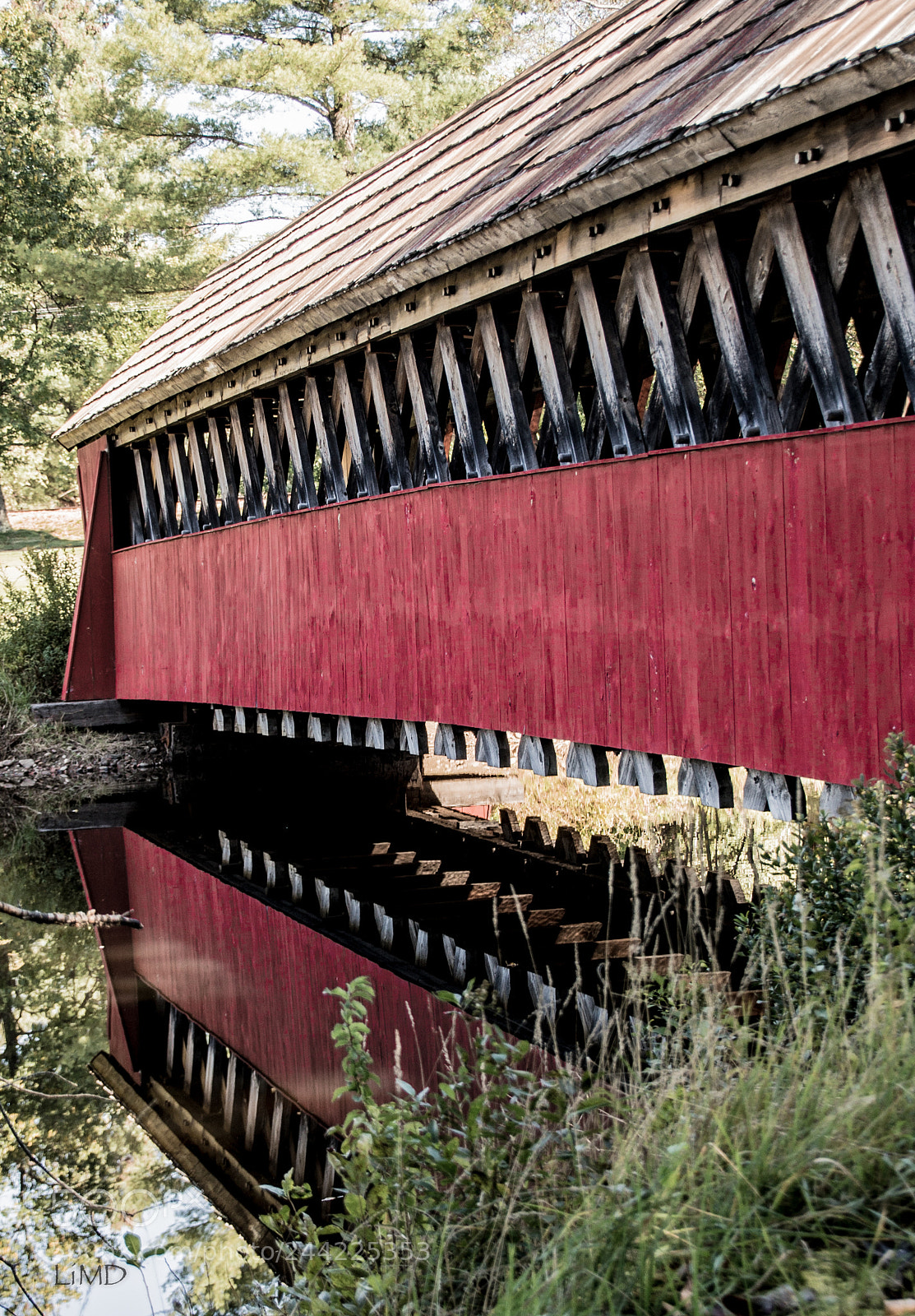 Nikon D600 sample photo. Reflection photography