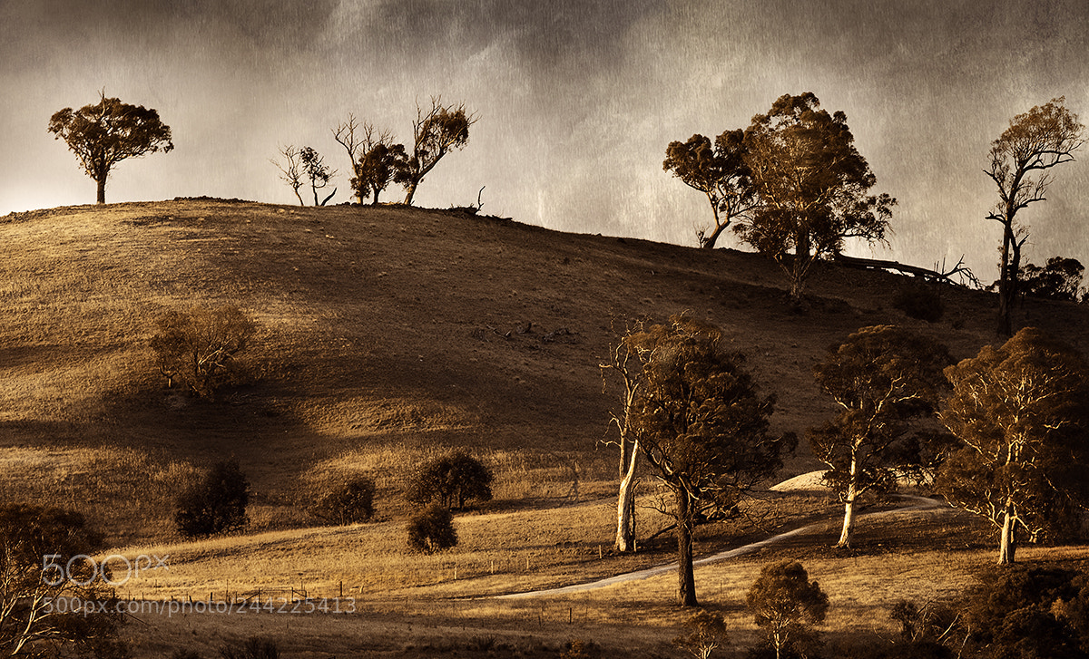 Canon EOS 5DS sample photo. Bungonia plains photography