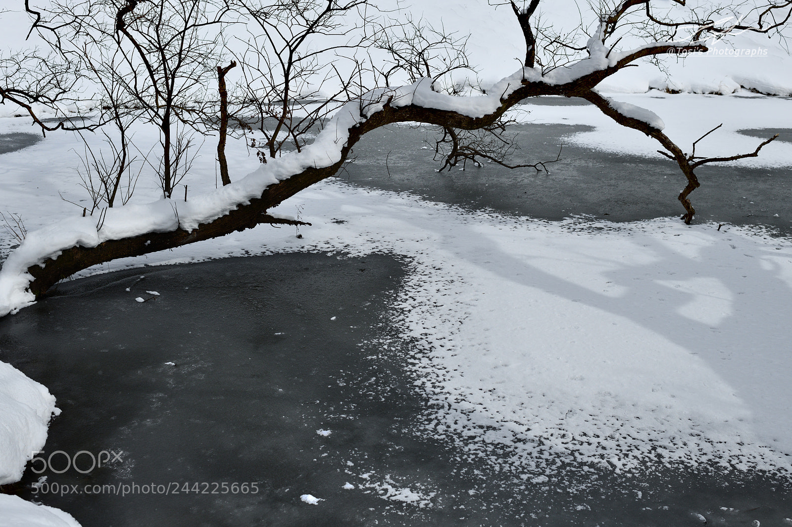 Nikon D850 sample photo. Art on ice photography