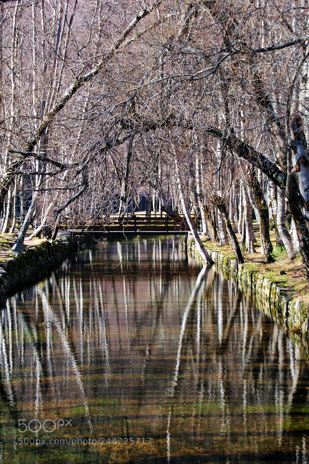 Canon EOS 60D sample photo. Winter park photography