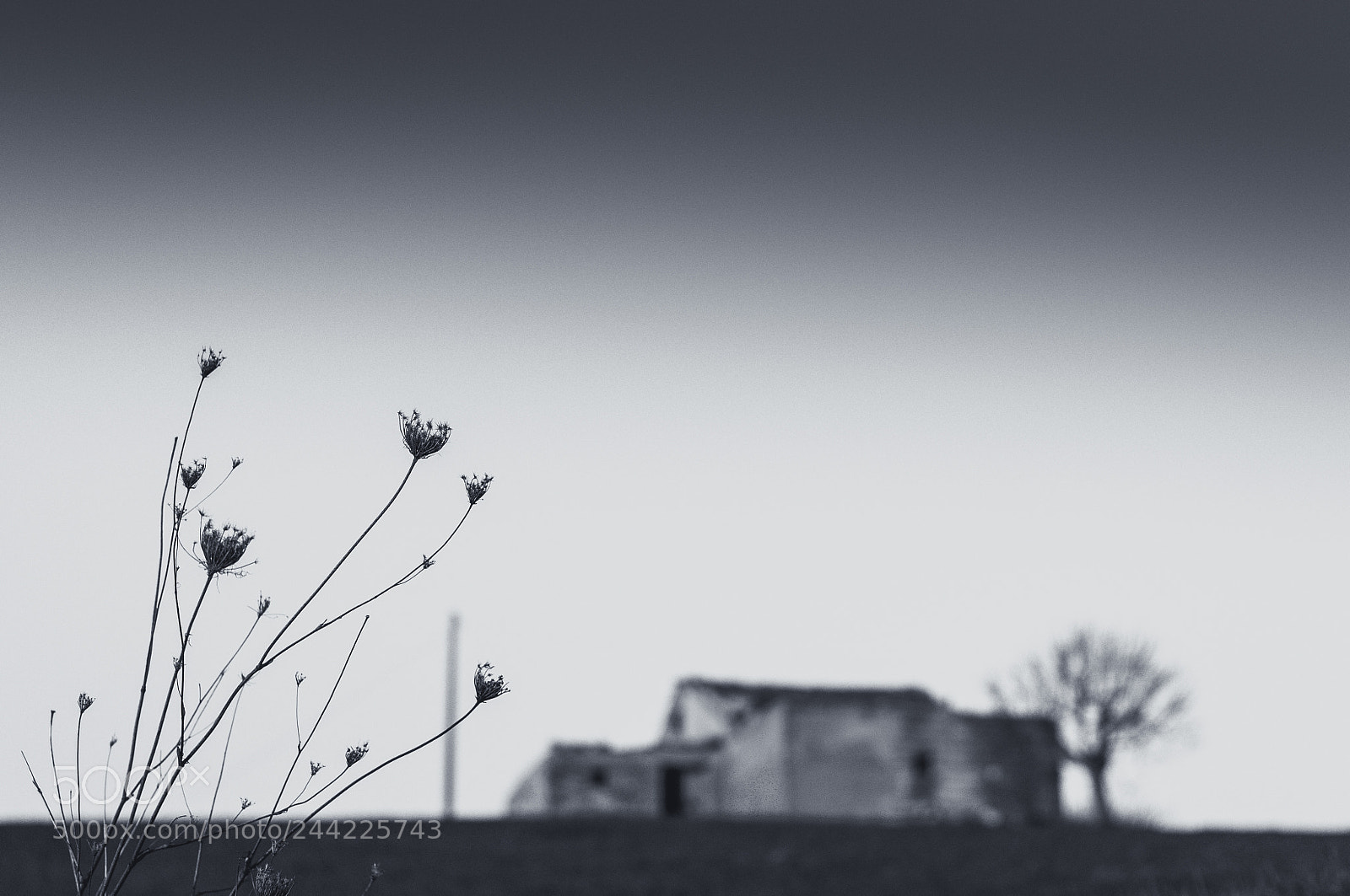 Nikon D300S sample photo. Once upon time.. photography