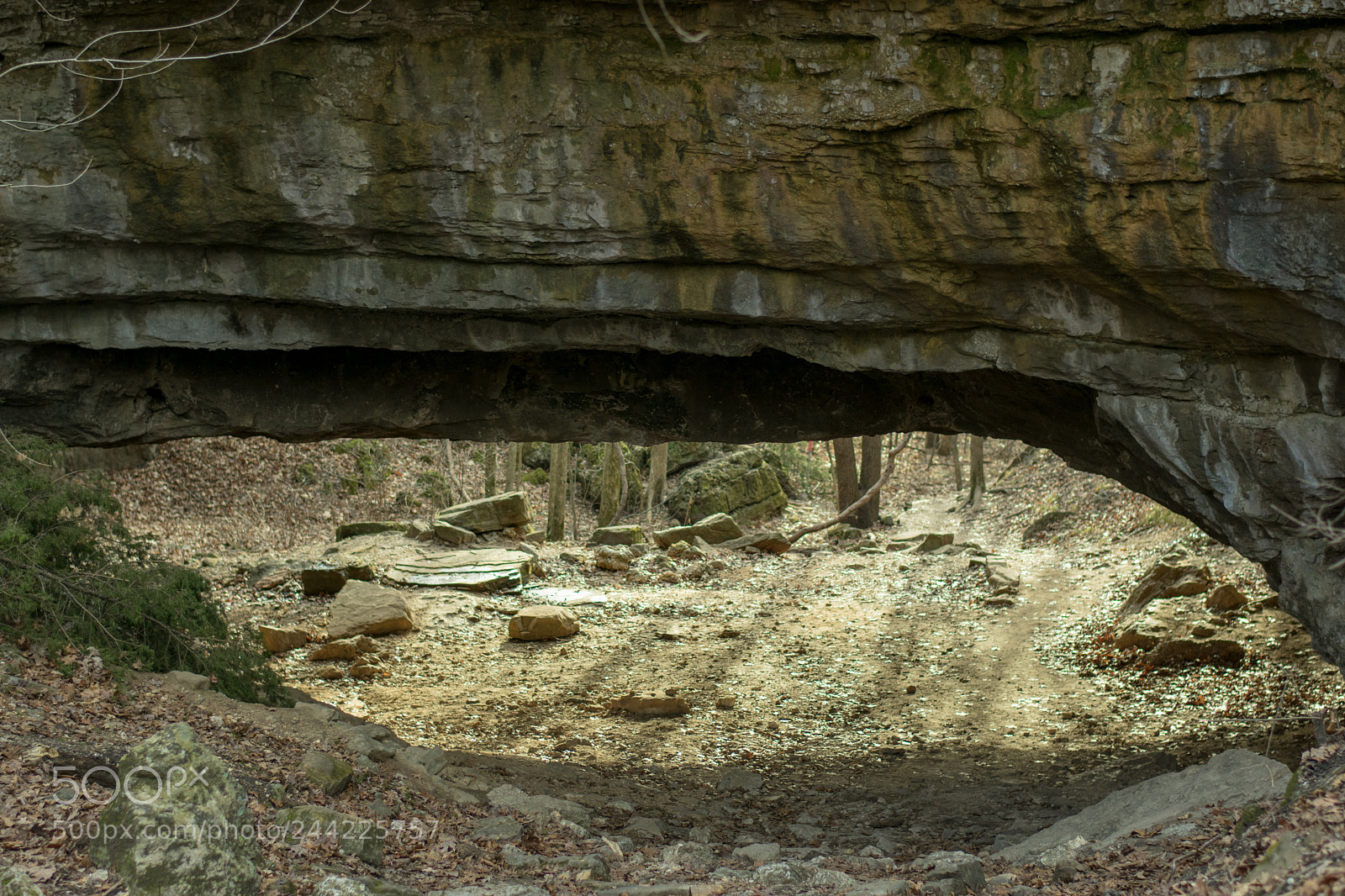 Nikon D3400 sample photo. Natural bridge photography