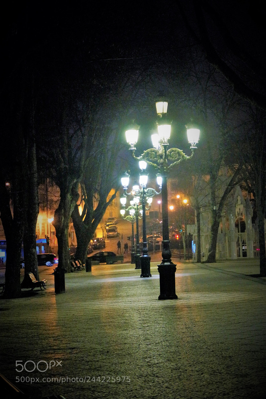 Samsung NX3000 sample photo. Follow the light photography