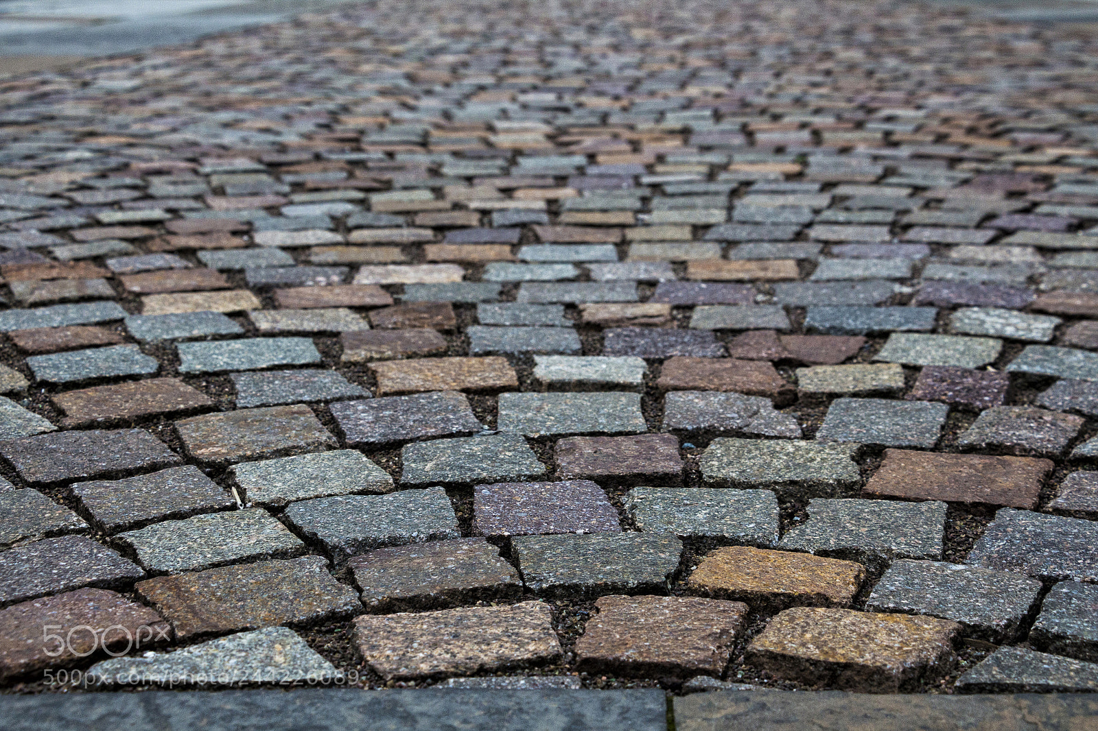 Canon EOS 650D (EOS Rebel T4i / EOS Kiss X6i) sample photo. Cobble details photography