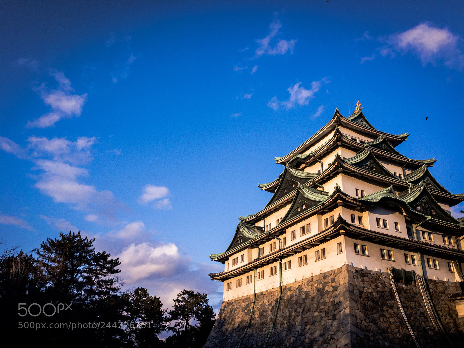 Apple iPhone 6s sample photo. Nagoya castle photography
