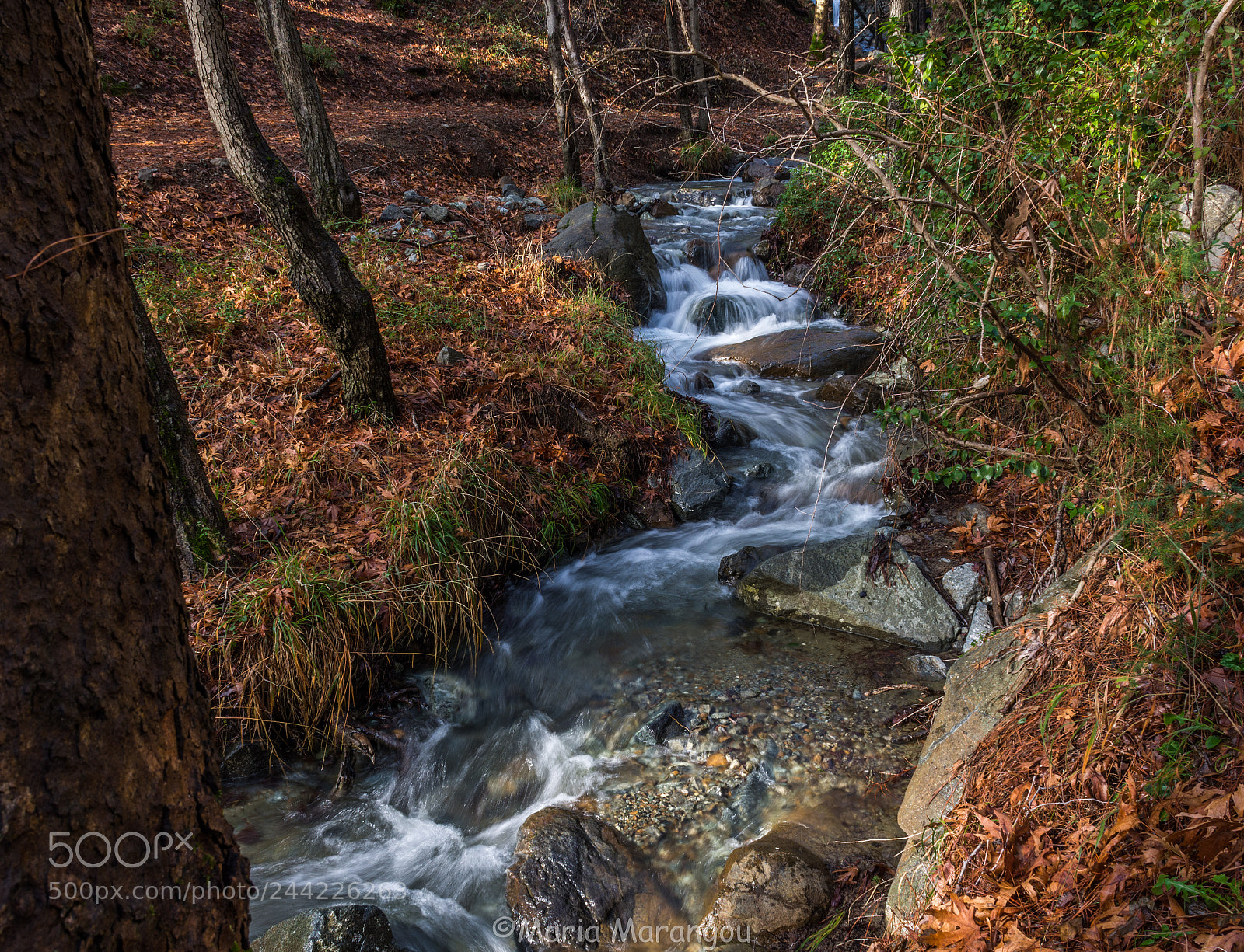 Nikon D7200 sample photo. Untitled photography