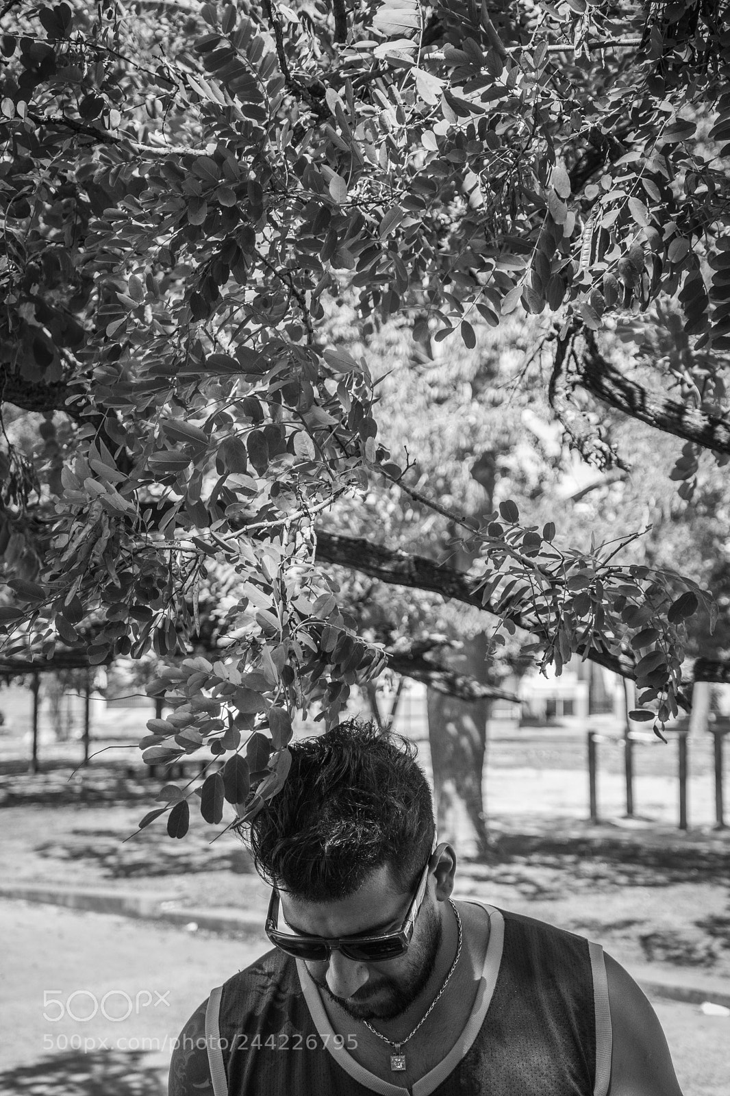 Nikon D7100 sample photo. 27.jpg photography