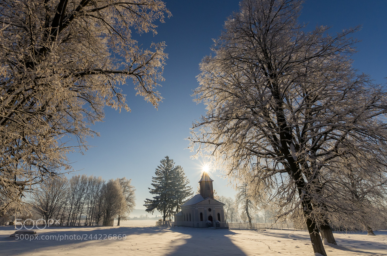 Pentax K-5 sample photo. The coldest day photography
