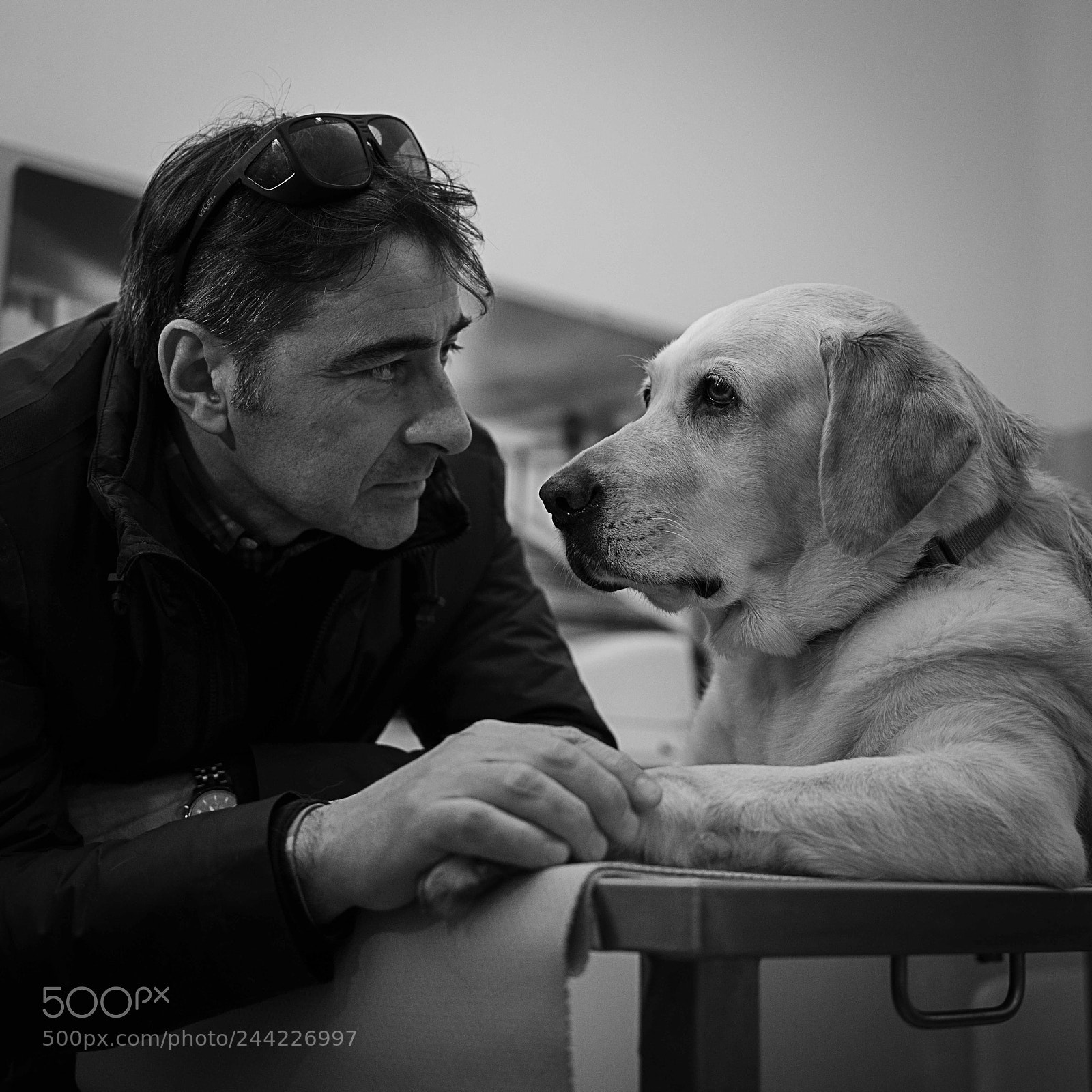 Fujifilm GFX 50S sample photo. Foto di davide gamba photography