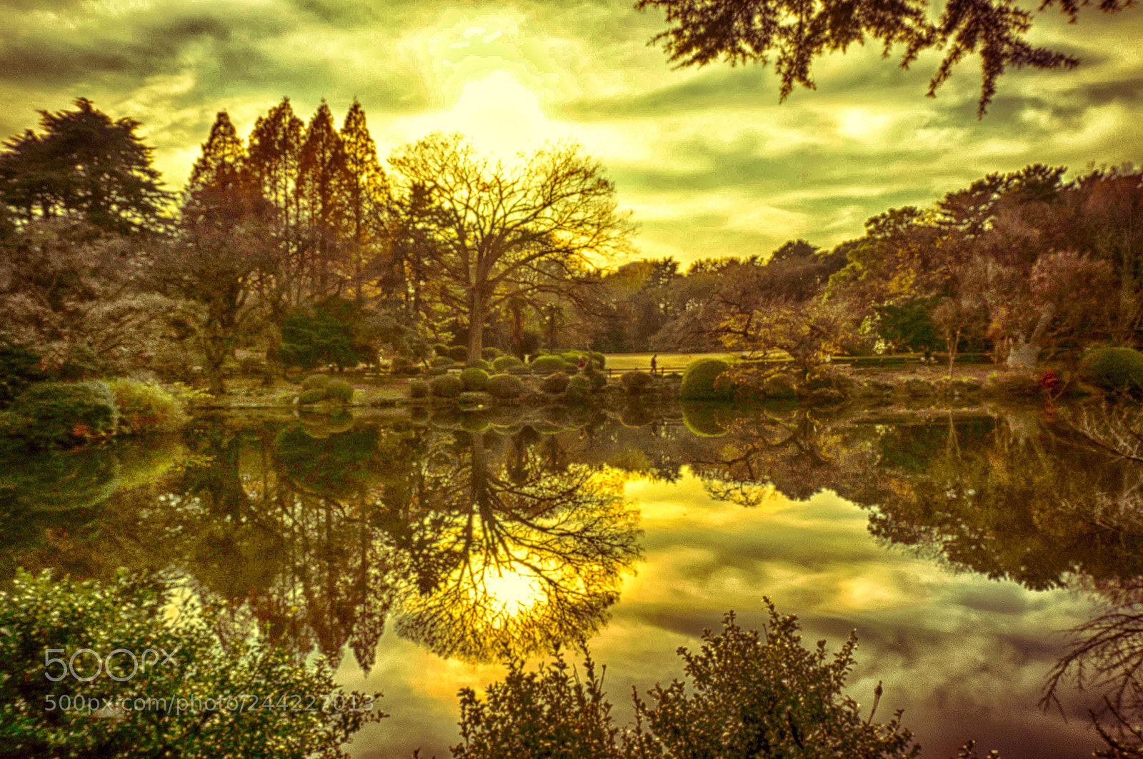 Sony Alpha NEX-6 sample photo. Evening glow photography
